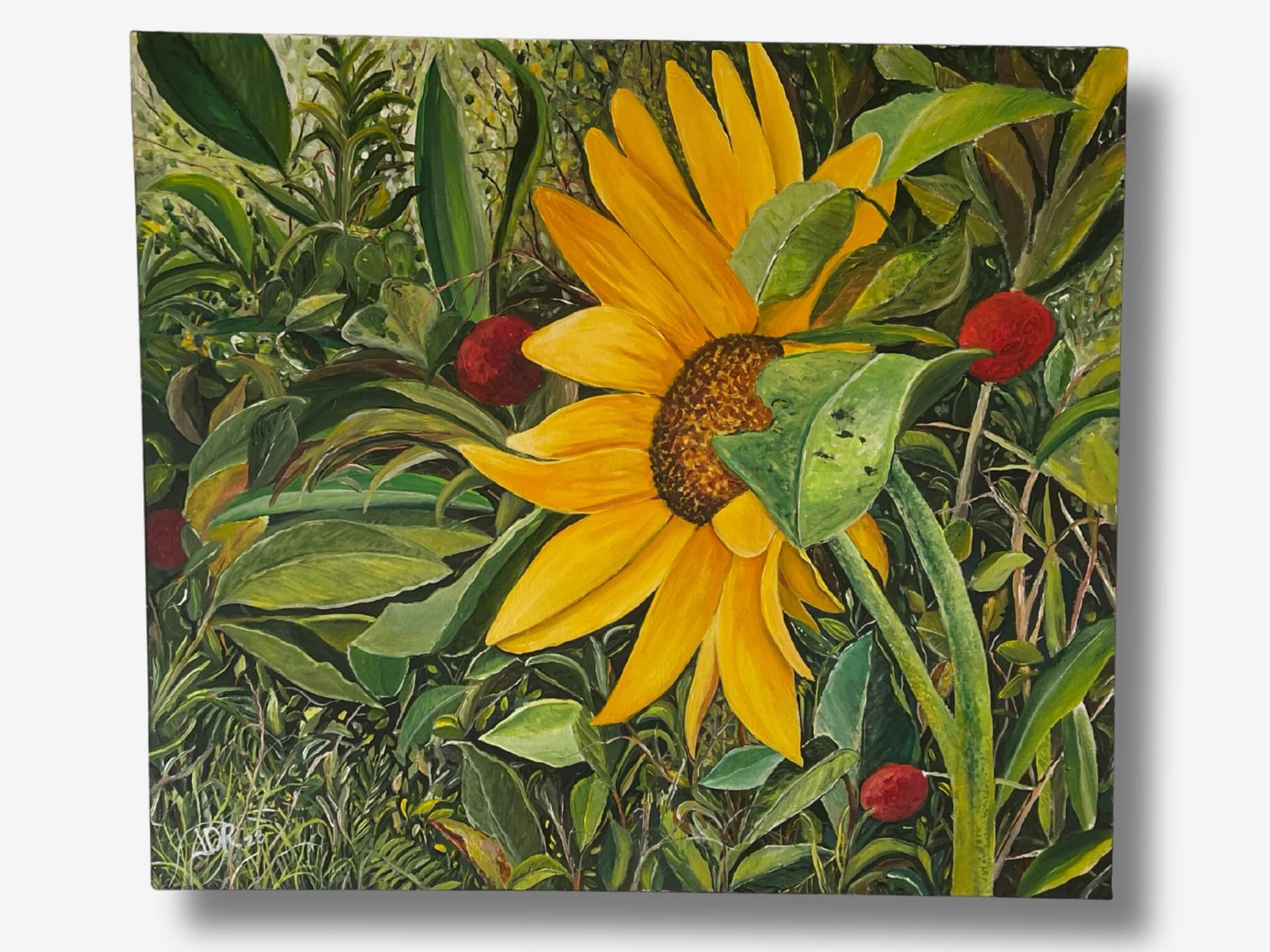 Sol de Girasol - Jorge Mario Duque Ramírez
