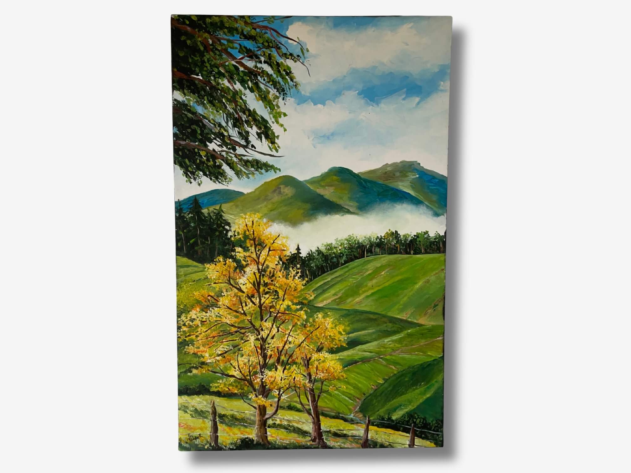 Primavera en las Alturas - Jorge Mario Duque Ramírez