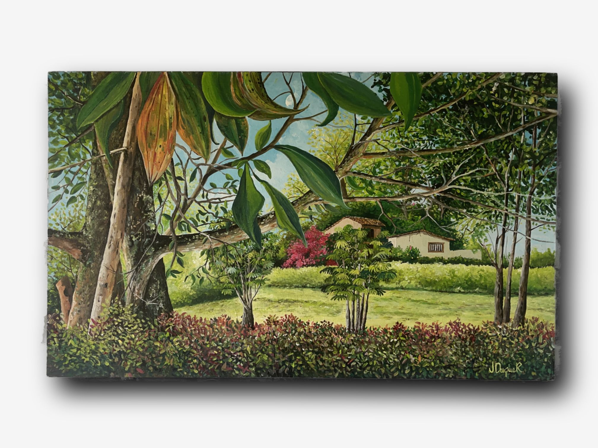 El Árbol de los Recuerdos - Jorge Mario Duque Ramírez