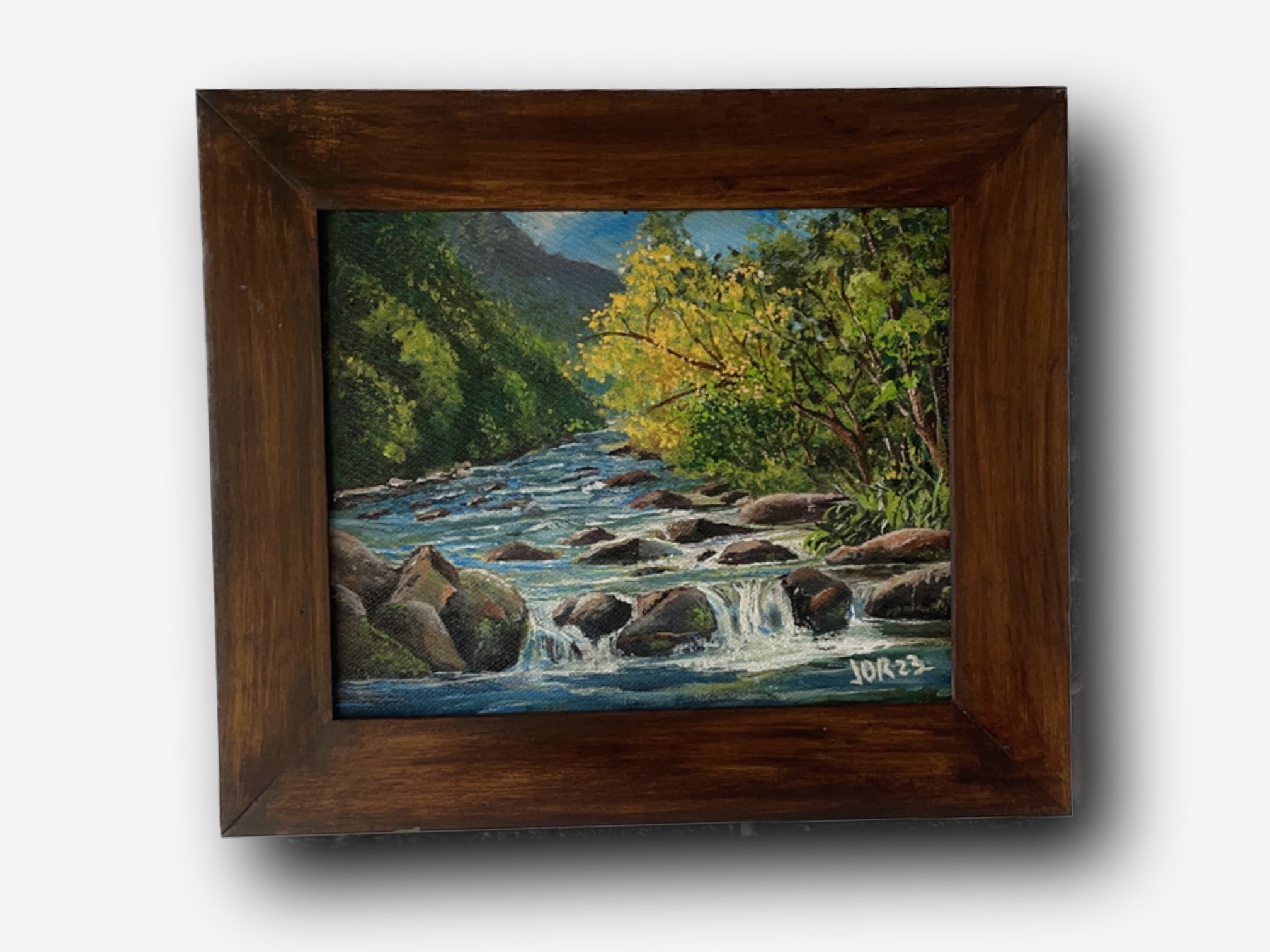 Guayacán sobre el río - Jorge Mario Duque Ramírez